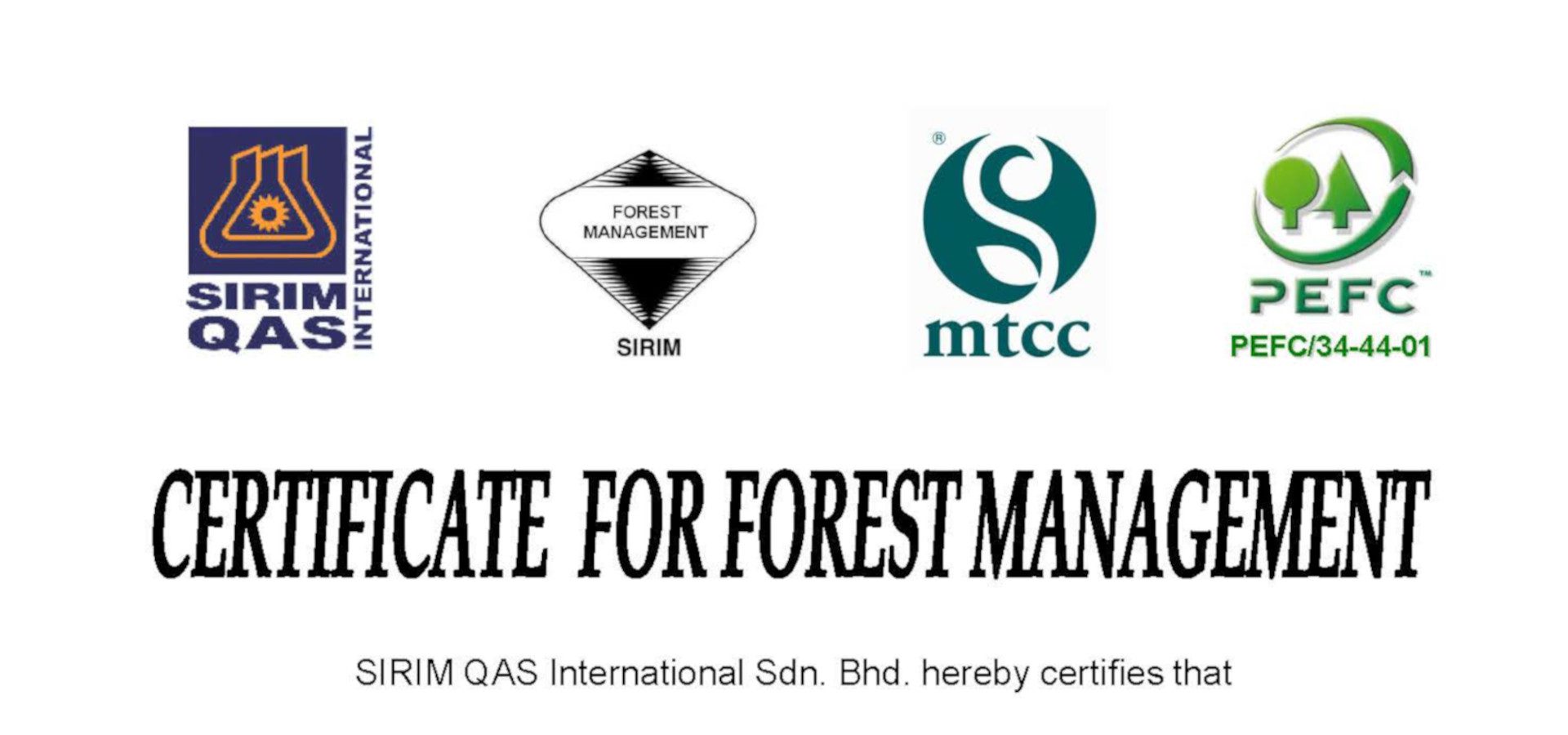 management natural forest