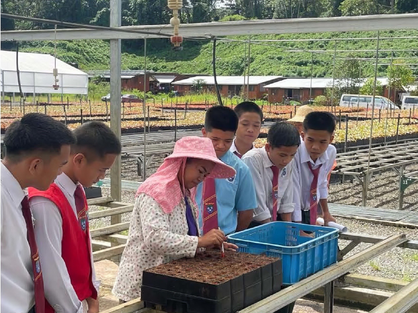 Hands-on training to learn planting techniques.
